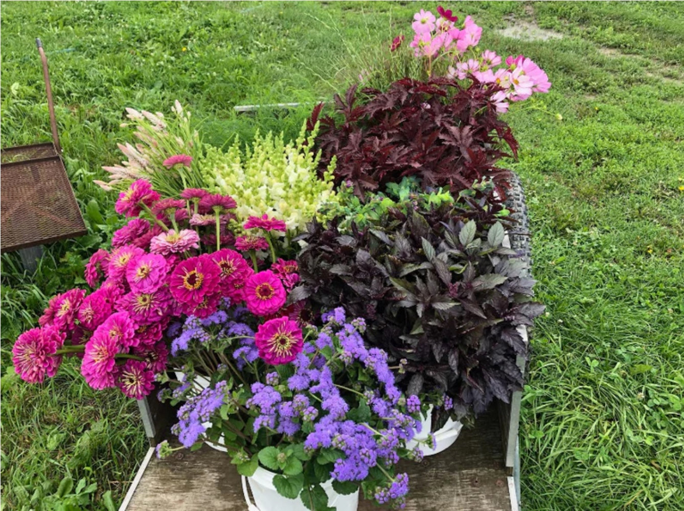 Comment composer un bouquet de fleurs fraîches de la ferme