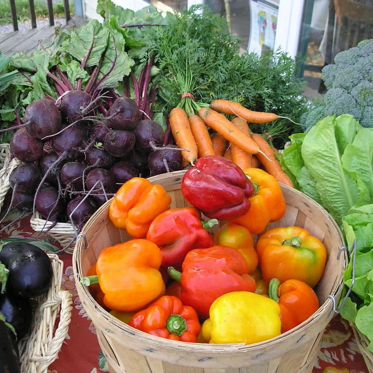 Un étalage coloré de légumes frais comprend un panier de poivrons assortis, des bottes de carottes, de betteraves, de brocoli et de légumes-feuilles sur une table de marché.