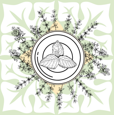 Illustration représentant une assiette centrale avec un trio de feuilles de menthe, entourées d'un motif circulaire d'herbes fleuries comme le thym et le basilic, le tout sur fond de feuilles vertes stylisées et d'accents beige clair, mettant en valeur la Collection Fines herbes - 35,92$ par Tourne- Sol.