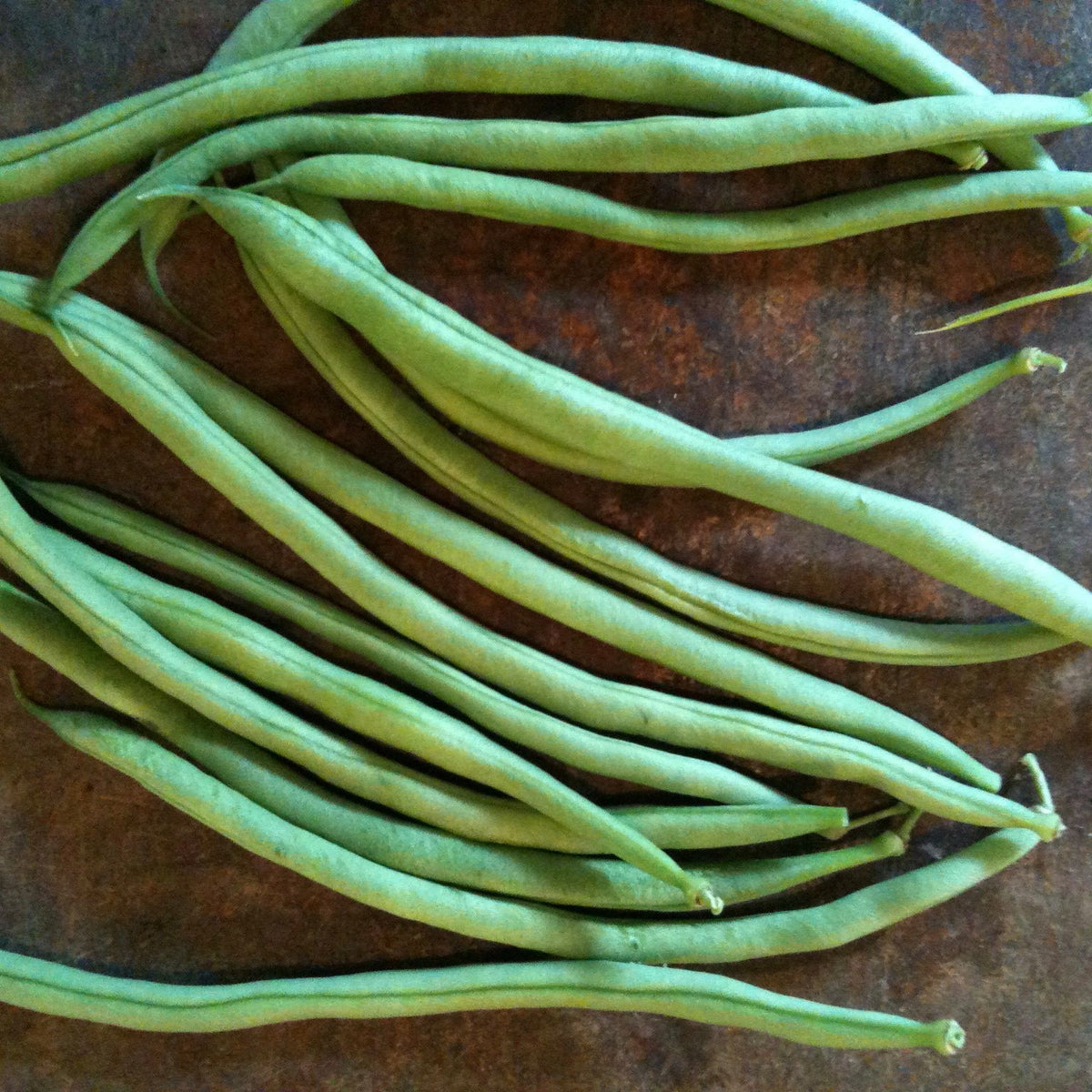 Un bouquet de Haricot Grimpant Vert Cobra de Tourne-Sol sur une table.