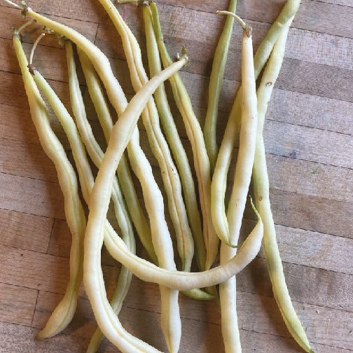 Un tas de haricots grimpants Haricot Grimpant Jaune Monte Gusto sur une table en bois. [Nom de marque : Tourne-Sol]