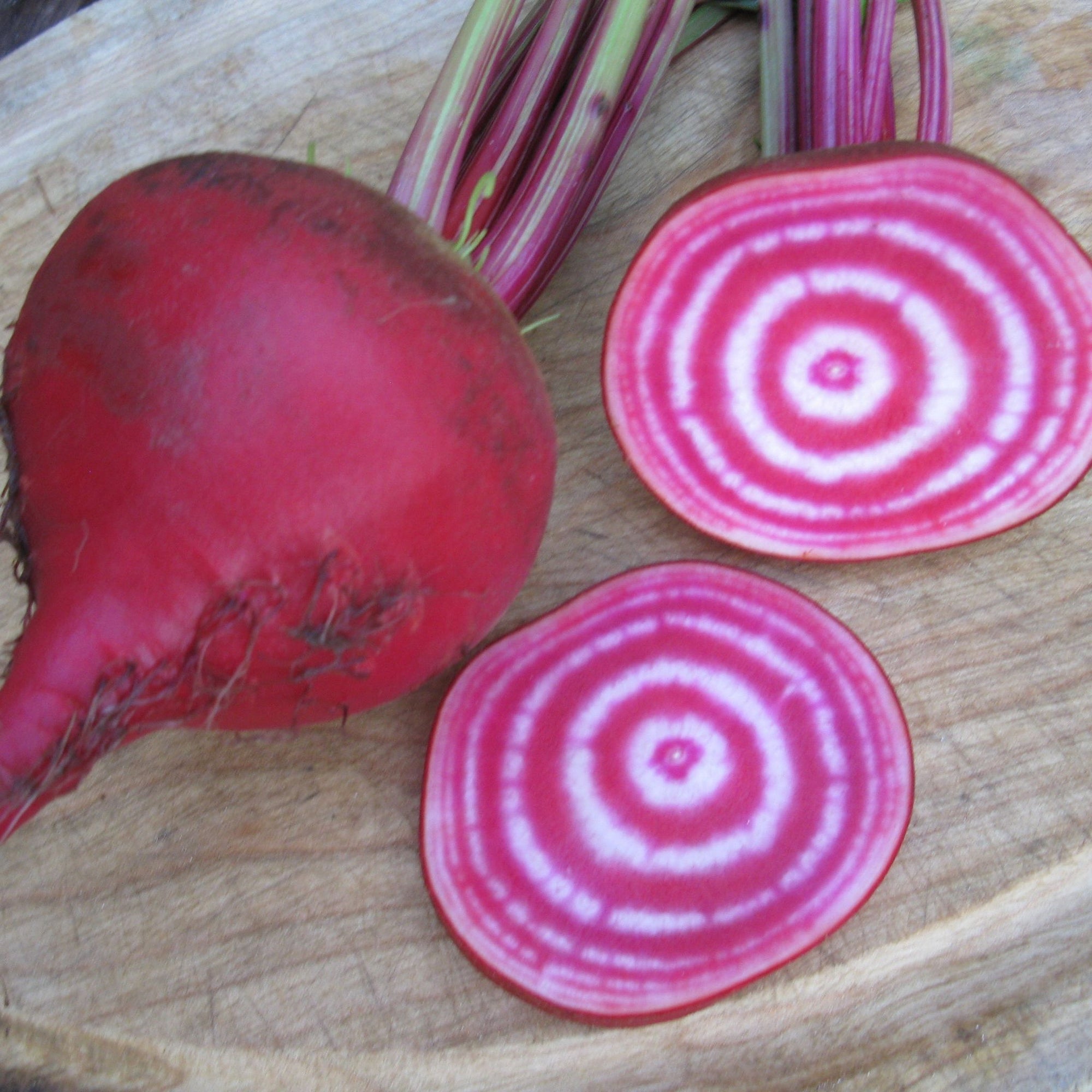 Cercles concentriques tranches de Betterave Chioggia.