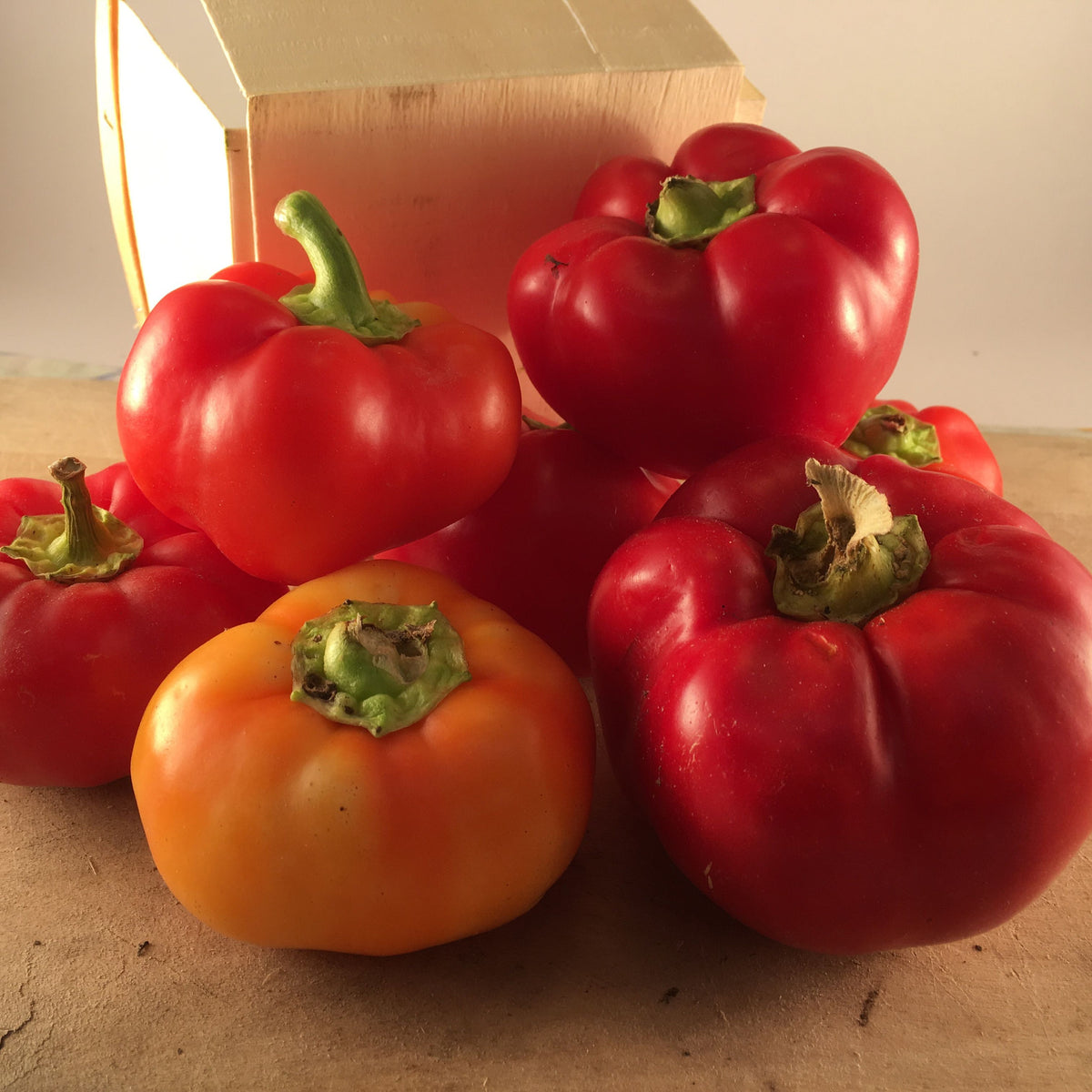 Poivrons Tourne-Sol Piment Fort Alma Paprika rouges et jaunes dans une boîte en bois.