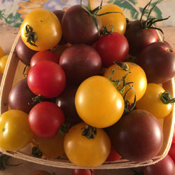 Un bouquet de Tomates Cerises Mélangées de Tourne-Sol dans un panier sur une table.