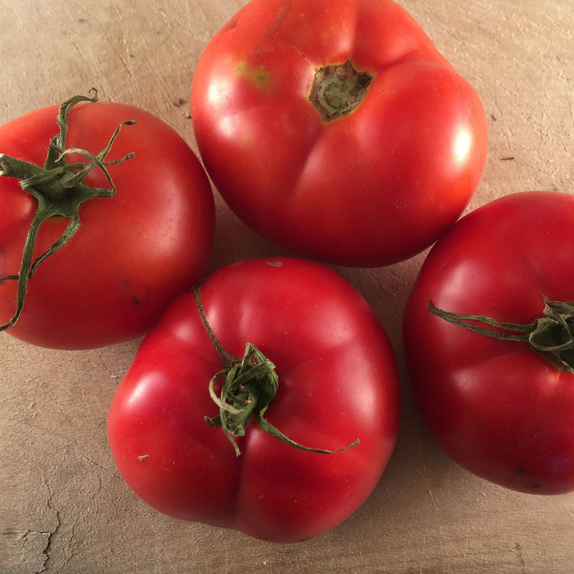 Quatre tomates **Tomate Rouge Montréal Tasty Format Vrac** de **Tourne-Sol**, charnues et légèrement irrégulières, aux tiges vertes indéterminées, sont placées sur une surface en bois brun clair. Le rouge vif des tomates fraîches se détache sur le fond naturel.