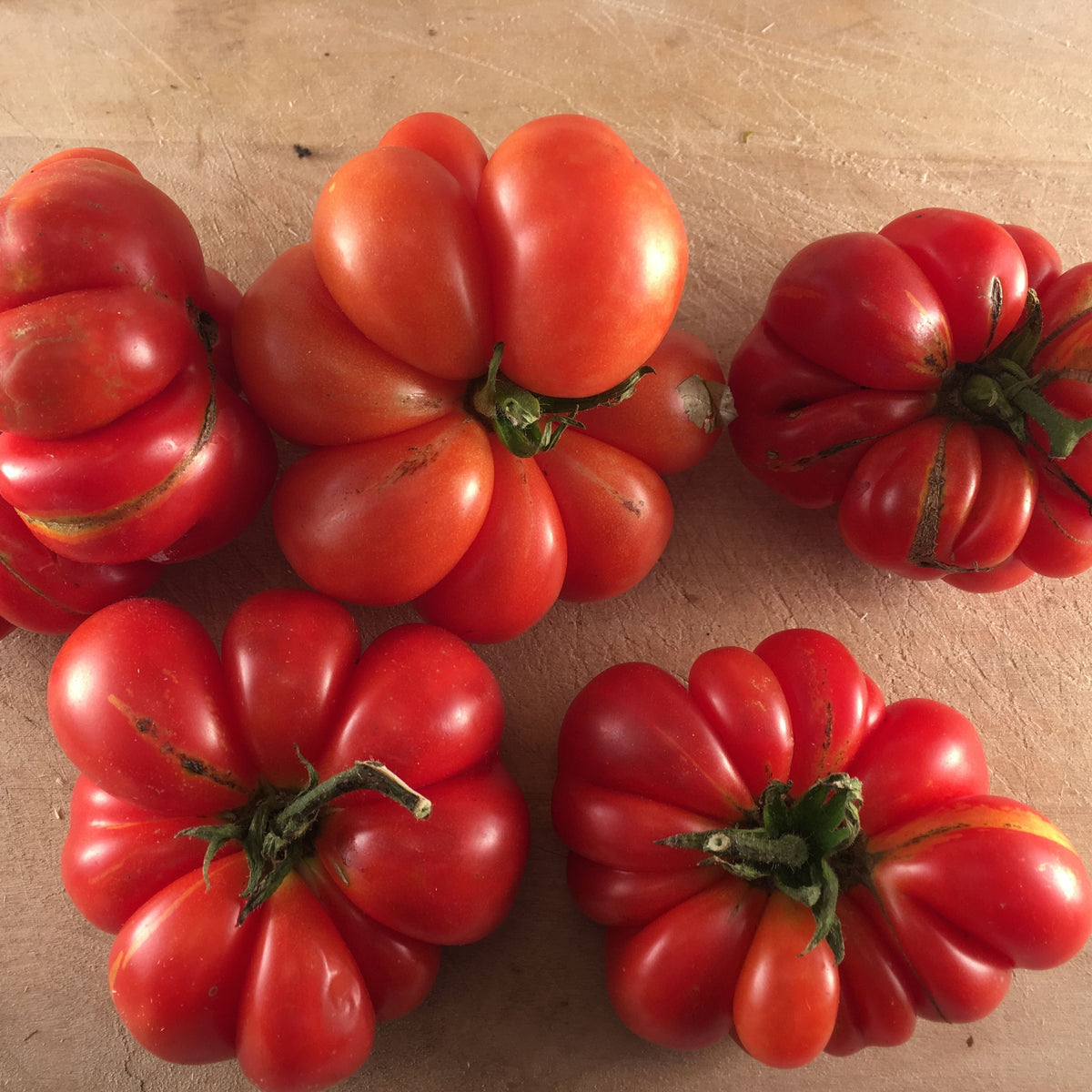 Une grappe de Tomate Rouge Reisetomate cerises rouges sur une surface en bois. Marque : Tourne-Sol.