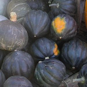 De nombreuses courges Courge Poivrée Table King sont posées sur une table.