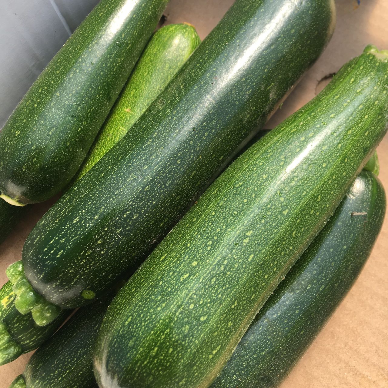 Une boîte en carton rempli de courgettes vertes foncées Tourne-Sol.