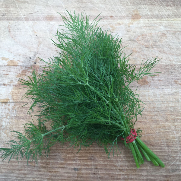 Bouquet Aneth Dill Tourne Sol